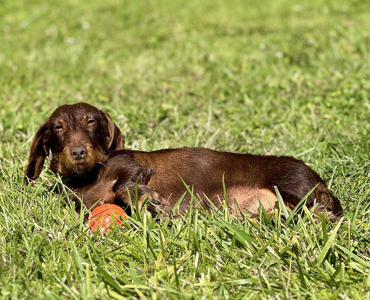 [Image: IMG-2751.jpg]