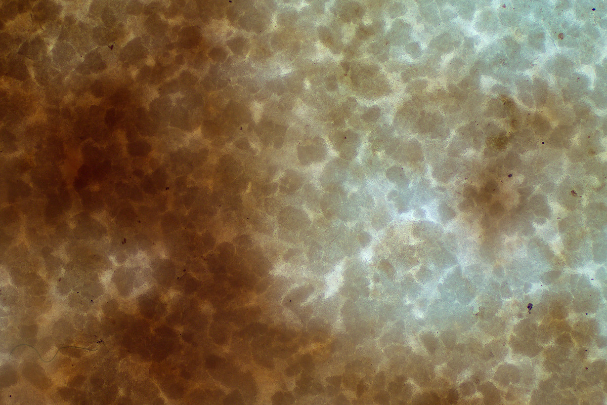 lum_trans_ext_10x bar