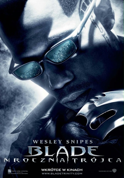 Blade: Mroczna Trójca / Blade: Trinity (2004) MULTi.1080p.BluRay.x264-DSiTE / Lektor i Napisy PL