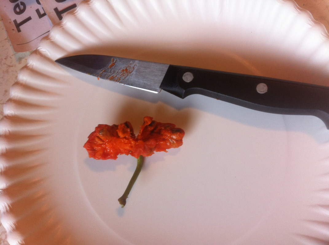 photo 4(1)