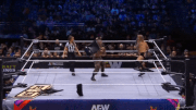 aew_20241106_conglomeration_v_learningtree1