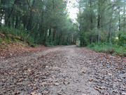 2021-01-03-15-14-20.jpg' alt='2021-01-03