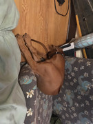 Rocco the Rhodesian Ridgeback 34