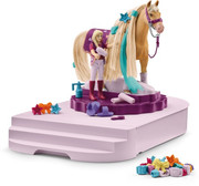 40 - Stable grooming accessories