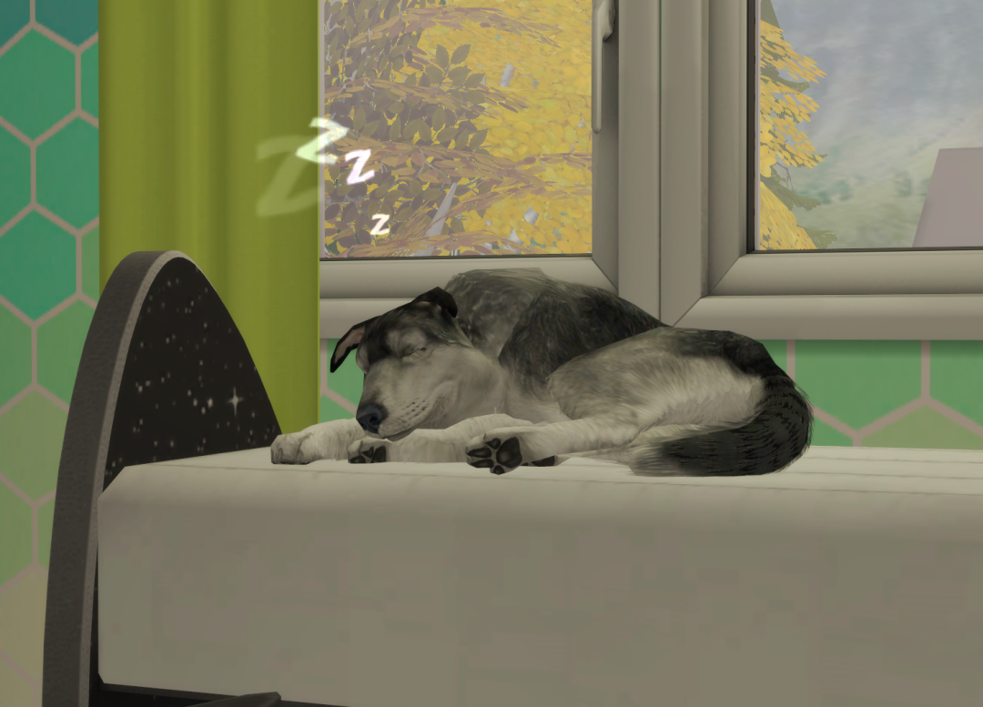 Sims2-EP9-RPC-2024-10-08-20-53-47-52