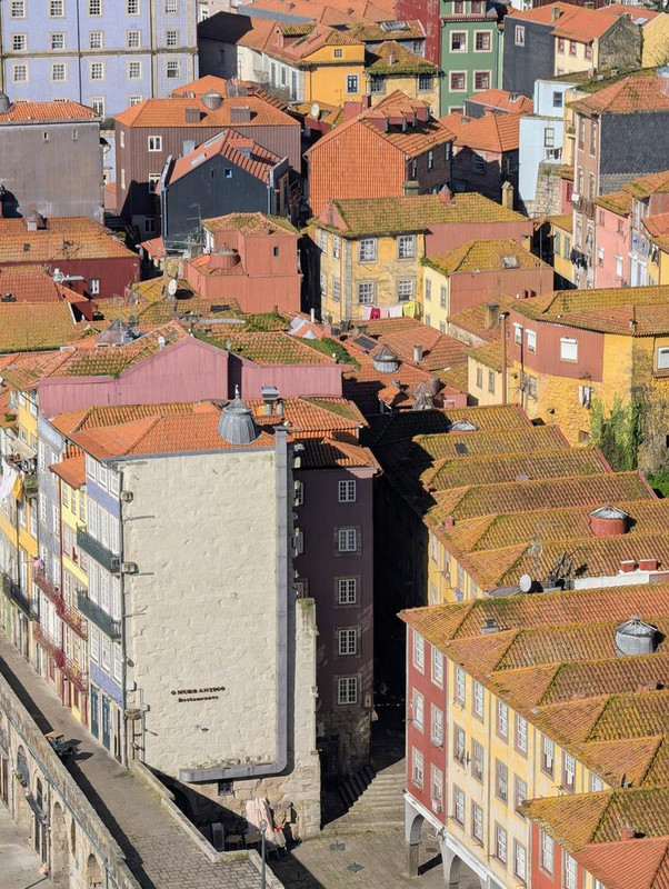 641051711 25576086565424306 5593446220838759969 n