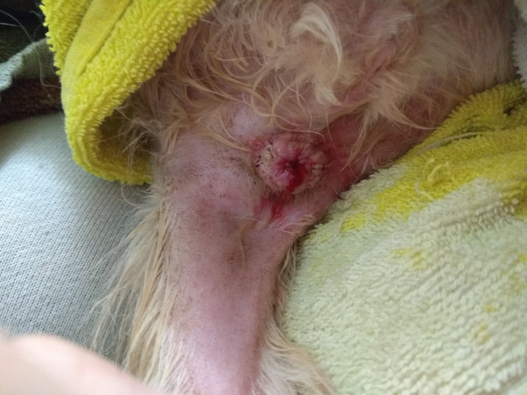 попа-10-13_13-41-18