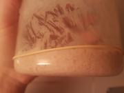 Levain 2 - 16h after refeed