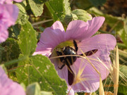 photo 21 2025 12 12 16 19 07