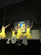 Apresentação de dança (Ballet) (1)