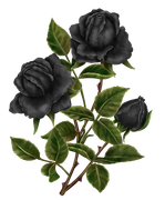 Gothic-Valentine-Element41