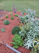 2023-06-24 Old & new beds