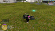 IMG-6640