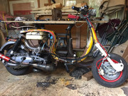 58641543_2319952964728180_2565846250410737664_n_2319952961394847