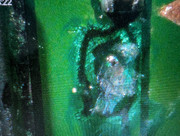 Whats App Image 2026 01 17 at 16 27 12 (1)