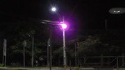 24.7. pink lamppost V