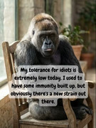 https://i.postimg.cc/yWXzNgfB/tolerance.jpg