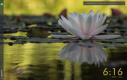 Screenshot-from-2020-08-01-18-16-23.png