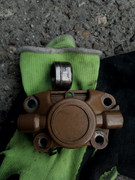 Posted Image
