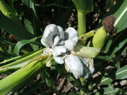 WhatsApp Image 2022-04-06 at 11.53.03 AM