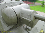 IMG-7511