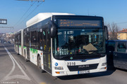 IMG-5281