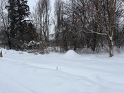 IMG-6562