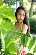 Nicha-Set-23-0042