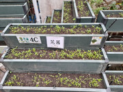 photo-littlefarmer2122-012