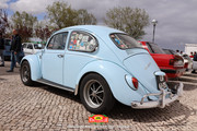 IMG-2646