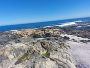 IMG-20250122-WA0290