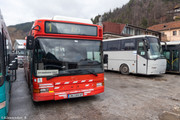 IMG-3374