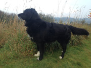 44B8350D-710A-482B-BC2C-8560131CA018