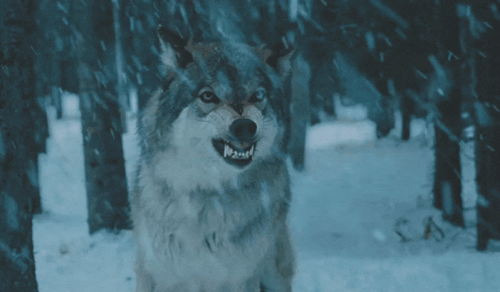 GIF-20251007-075104-216.gif