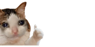 https://i.postimg.cc/yWqKBQj7/sticker-248-thumb.png