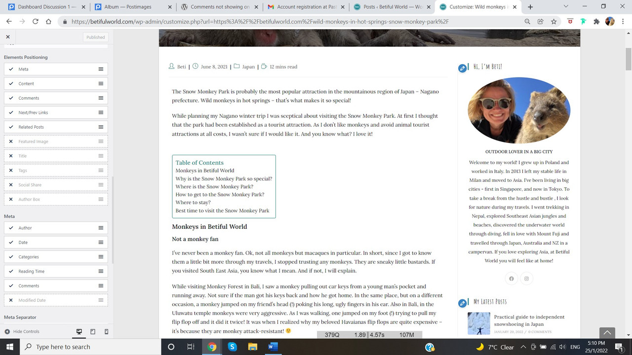 Customize_Posts_Single Post_comments enabled
