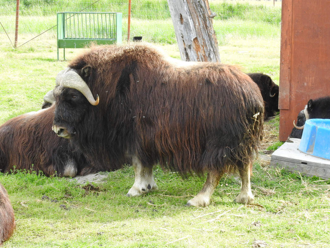 51FBE6AB-3D9E-42FD-8599-61A47BF5DD0C