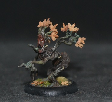 [Image: DSC_0452.jpg]