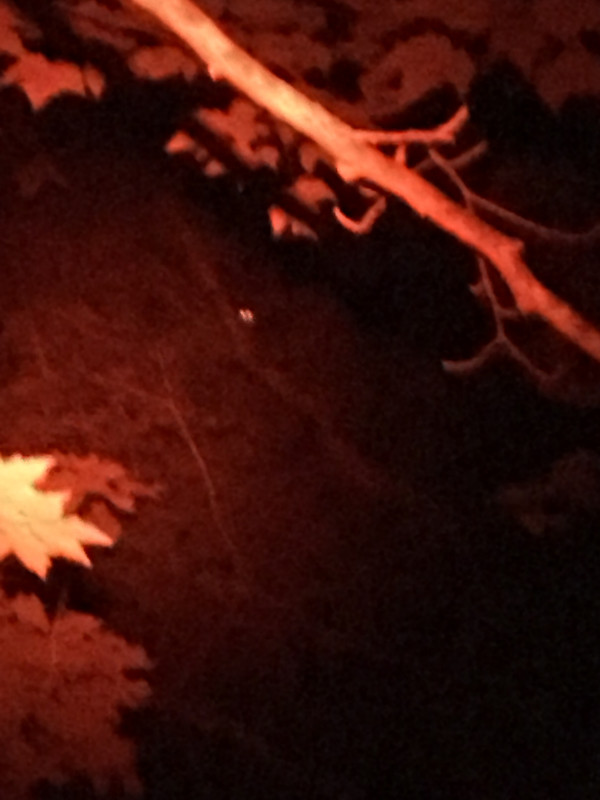 8508B7C3-6D8D-4292-B23F-1DF70B579B03