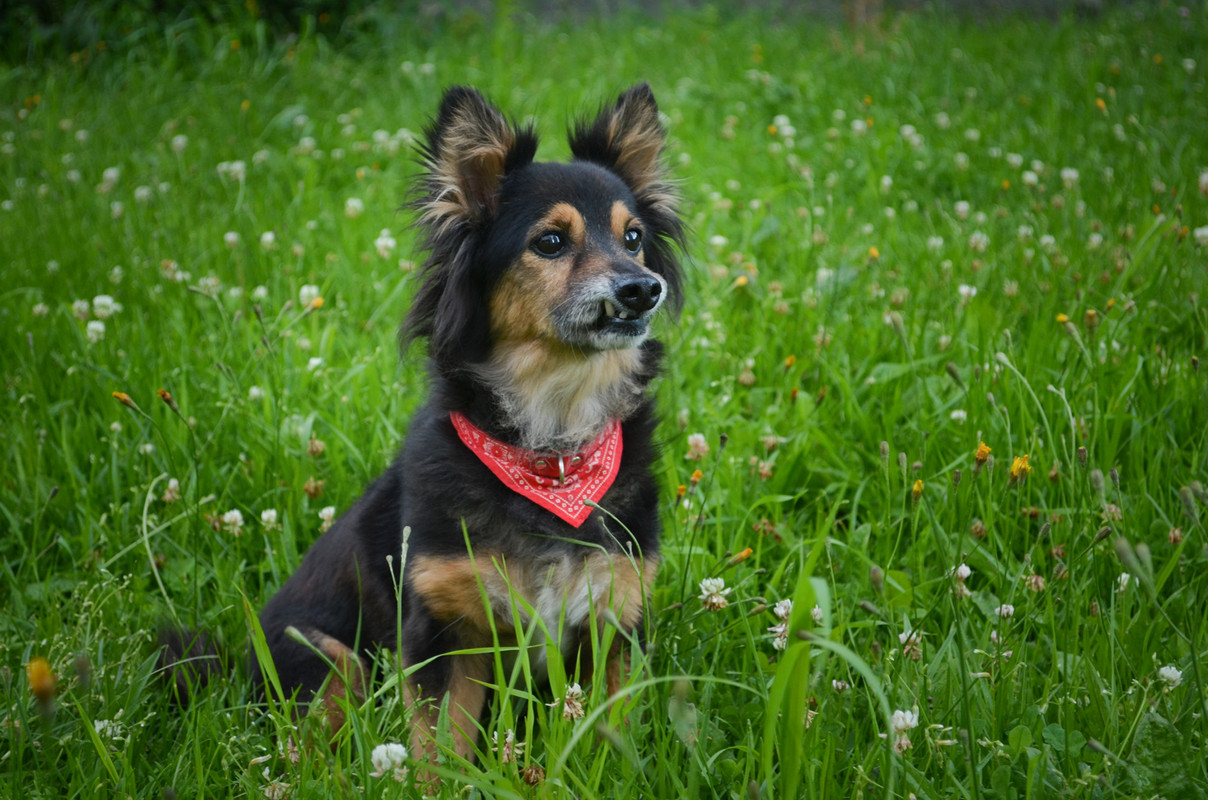 2F9BC81B-3A6F-434E-B53E-CEEB082D26C5