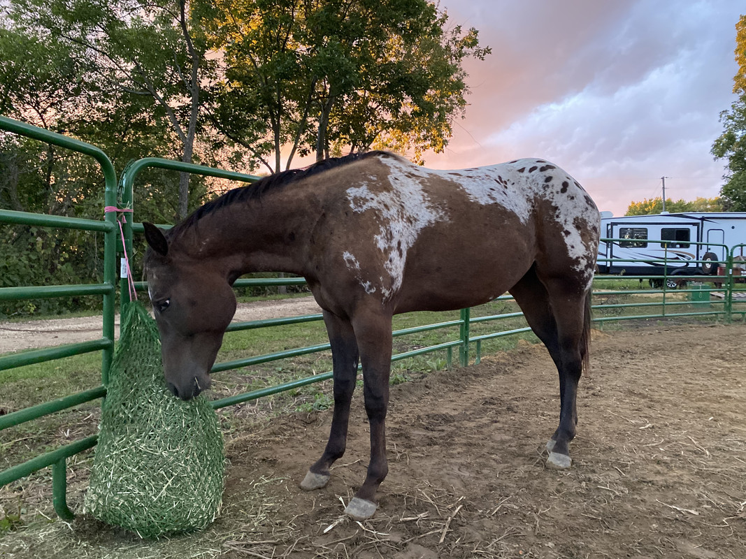 5AB37EF3-B0FE-490F-9CF6-9D49BFA1FB00