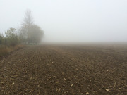 IMG-6216