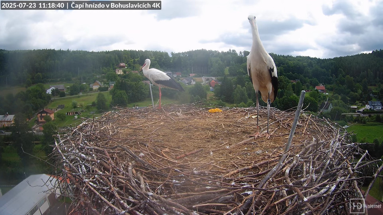 Tiešraide no KARA uzņēmuma stārķu skursteņa Bohuslavicē netālu no Trutnovas 15-16-22 screenshot