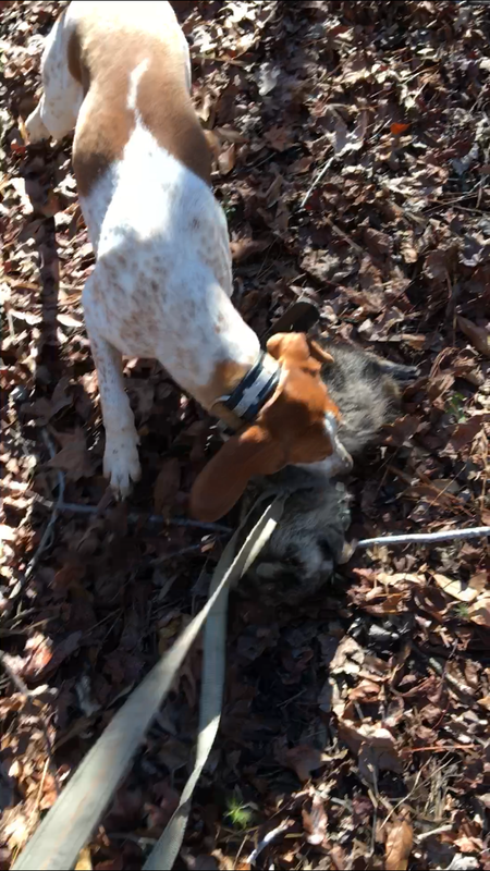 9723B80F-5B4C-404F-8BF5-2A1B94B5048E