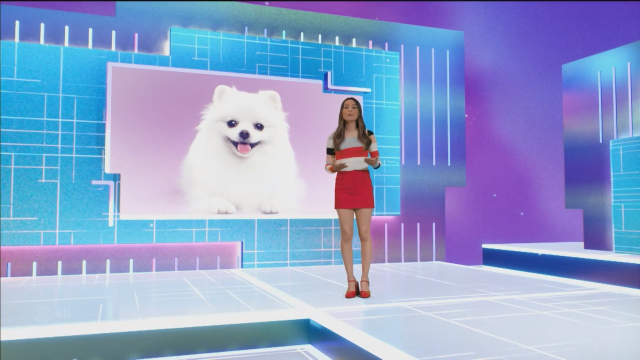 Mission.Unstoppable.S06E12.Aerobatics,.Aggression.and.Articulate.Canines.ts_snapshot_25.26.456