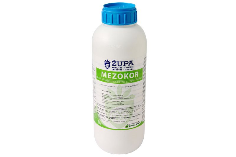 mezokor.jpg