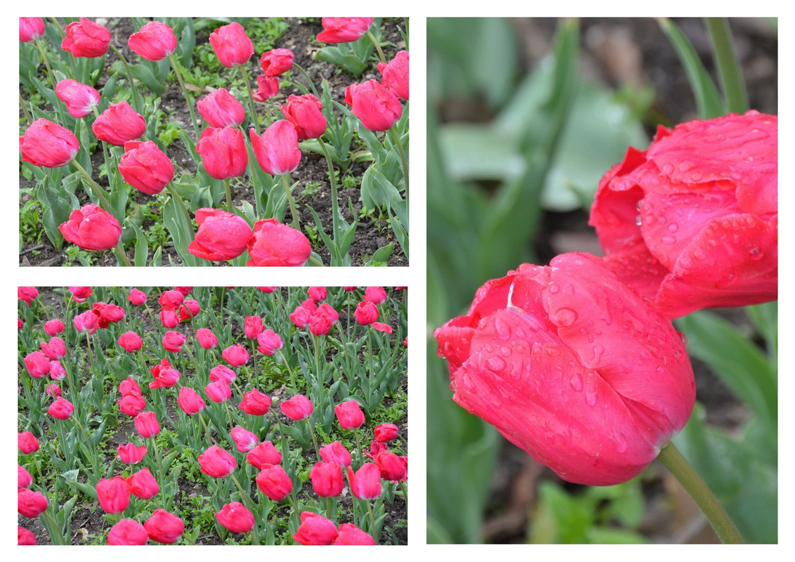 Новый коллаж.jpg 54