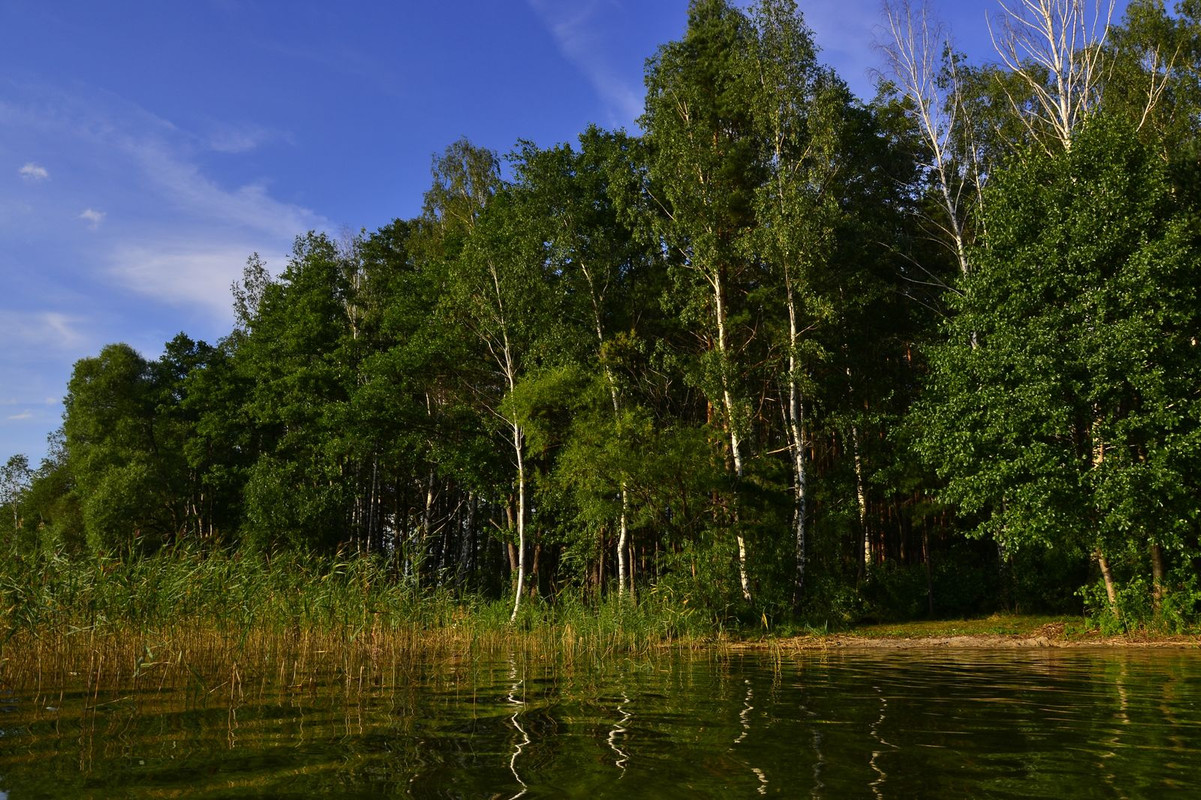 01_21 Берег_result