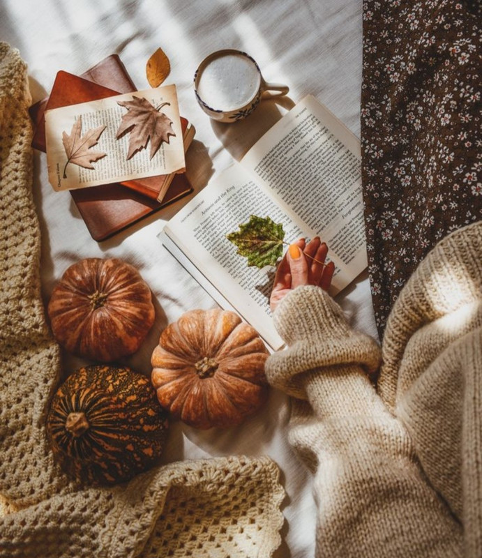 Screenshot_20231015_200241_Pinterest