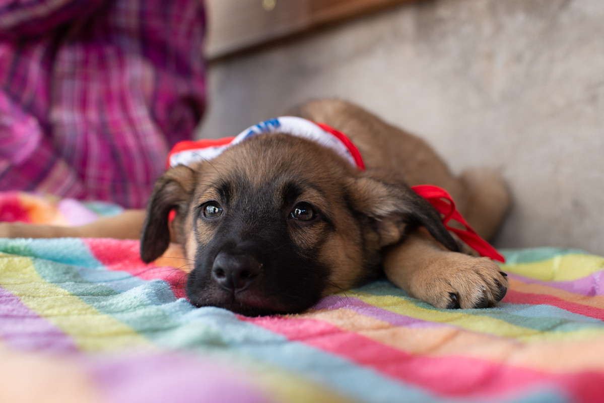 39053B51-09B6-46B2-A86C-F04B237A8B34